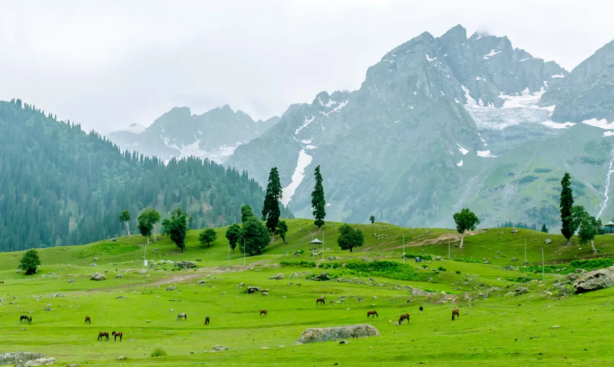 Thajiwas Glacier