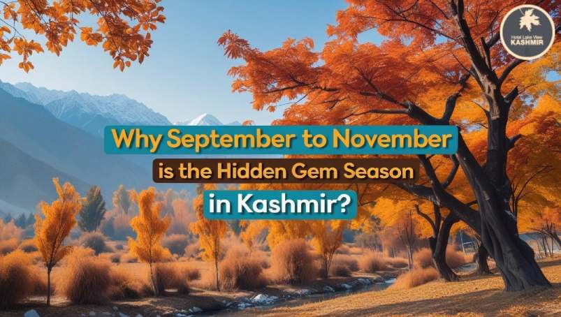 Why September to November Is the Hidden Gem Season in Kashmir? 